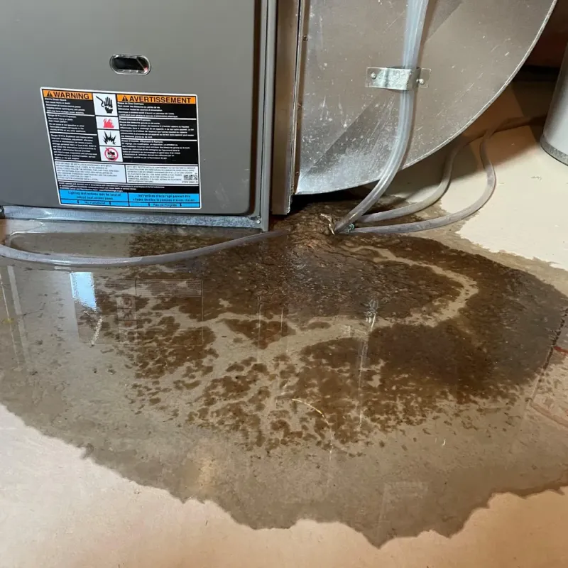Appliance Leak Cleanup in Yuma County, CO